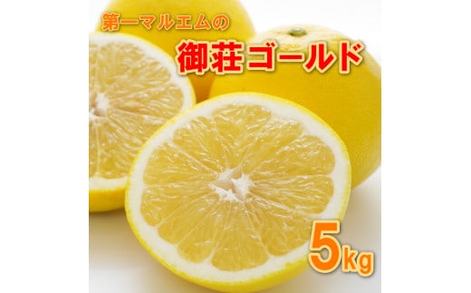 【先行予約】 御荘ゴールド (河内晩柑) 秀品 5kg 第一マルエム 減農薬 柑橘 フルーツ 愛媛県 愛南町 発送期間：2026年3月中旬～順次発送