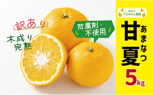 【 先行予約 】 訳あり 完熟 甘夏 5kg <発送期間：2027年3月上旬～無くなり次第終了> 八百みかん農園 の 完熟 甘夏 7000円 家庭用 訳あり 先行 事前 予約 受付 みかん あまなつ 夏みかん グレープフルーツ マーマレード ゼリー 防腐剤不使用 愛媛 産地直送 国産 農家直送 糖度 果樹園 期間限定 数量限定 特産品 ジュース 人気 限定 愛南 さわやか 甘い フルーツ 果物 柑橘 蜜柑