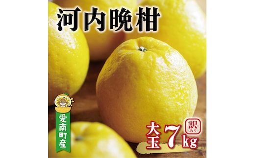 【先行予約：2027年4月上旬～発送】訳あり 河内晩柑 大玉 7kg +傷み保証1kg 8000円 みかん かわちばんかん わけあり 愛南ゴールド あいなん ゴールド 美生柑 文旦 グレープフルーツ 和製 家庭用 産地直送 国産 農家直送 期間限定 数量限定 特産品 ゼリー ジュース 人気 限定 さわやか 甘い フルーツ 果物 柑橘 蜜柑 規格外 塚岡農園 愛南町 愛媛県