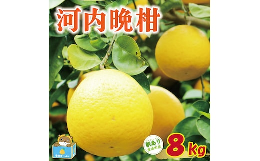 【先行予約：2027年4月上旬～発送】訳あり 河内晩柑 8kg +傷み保証1kg 8000円 みかん かわちばんかん 愛南ゴールド あいなん ゴールド 美生柑 文旦 グレープフルーツ 和製 家庭用 産地直送 国産 農家直送 期間限定 数量限定 ビタミン 特産品 ゼリー ジュース 人気 限定 さわやか 甘い フルーツ 果物 柑橘 蜜柑 規格外 愛媛県 愛南町 塚岡農園