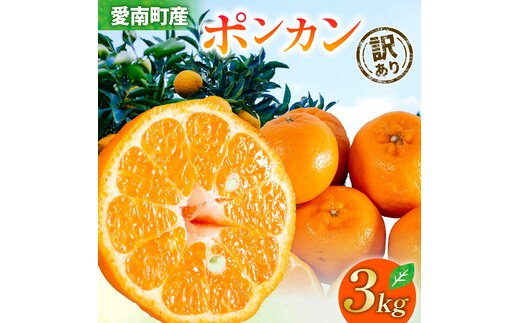【 2026年 先行予約 】 訳あり ポンカン 3kg サイズミックス 送料無料 7000円 柑橘 みかん 蜜柑 家庭用 フルーツ 果物 規格外 不揃い キズ わけあり 甘い 濃厚 ジューシー お取り寄せ グルメ 冬の味覚 ジュース スムージー ジャム お菓子 作り マーマレード スイーツ 作り 旬の果物 農家直送 ビタミンC 予約受付 サイズ不揃い 愛媛県 愛南町 清家ばんかんビレッジ