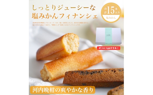 フィナンシェ 塩みかん 15本セット お菓子 焼き菓子 バレンタイン ホワイトデー 河内晩柑 愛南ゴールド バター入り 10個 スイーツ 詰め合わせ 贈答 プレゼント 贈り物 ギフト 個包装 crelo 愛媛県 愛南町