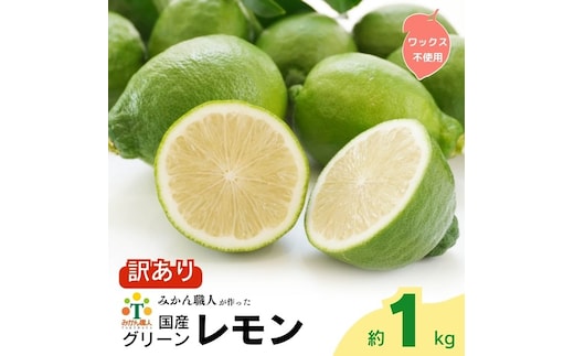 訳あり レモン （ グリーンレモン ） 1kg りのか 【発送期間:8月中旬～】 レモン 減農薬 柑橘 檸檬 くだもの 果実 国産 愛媛 みかん職人武田屋 ブランド 愛媛県産 産直 無添加