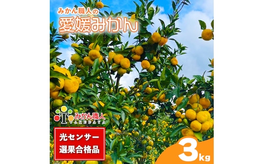 訳あり 愛媛みかん 約3kg 【発送期間：9月中旬～1月中旬】 柑橘 果物 国産 フルーツ 蜜柑 ミックス 不揃い 傷 温州 ビタミン 美味しい みかん職人武田屋 愛媛県 愛南町