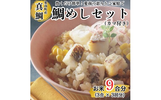 鯛めしセット （180ｇ×３パック） カマ付き まだい 鯛 冷凍 ダイスカット サイコロ コロコロ 角切り 鯛めし 釜めし 炊き込みご飯 10000円 おかず 惣菜 つまみ 入れるだけ 国産 魚介 特産品 魚介類 海産物 鮮魚 養殖 産地直送 海鮮 ブランド 簡単 お正月 お祝い 年末 年始 クリスマス パーティ お食い初め パック 愛南町 愛媛県 愛南サン・フィッシュ