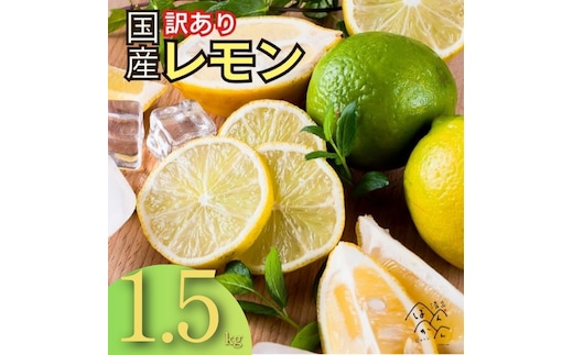 【訳あり】 レモン 訳あり 1.5kg 傷み補償 250g 5000円 送料無料 愛媛 国産 柑橘 フルーツ 産地直送 皮ごと 皮まで食べられる ノーワックス 防腐剤不使用 減農薬 安心 安全 グリーンレモン イエローレモン マイヤーレモン アレンユーレカ りのか 家庭用 お試し サイズ 不揃い B級品 スムージー ジュース レモンサワー 酎ハイ 料理 お菓子作り 旬 の 果物 清家ばんかんビレッジ