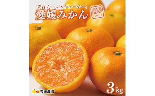 先行予約 訳あり 愛媛みかん 3kg 7000円 愛媛 みかん 温州みかん こたつ みかん mikan 蜜柑 ミカン 家庭用 産地直送 国産 農家直送 糖度 期間限定 数量限定 特産品 ゼリー ジュース アイス 人気 限定 甘い フルーツ 果物 柑橘 先行 事前 予約 受付 ビタミン 美味しい おいしい サイズ ミックス 吉田農園 愛南町 愛媛県