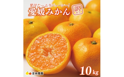 先行予約 訳あり 愛媛みかん 10kg 18000円 愛媛 みかん 温州みかん こたつ みかん mikan 蜜柑 ミカン 家庭用 産地直送 国産 農家直送 糖度 期間限定 数量限定 特産品 ゼリー ジュース アイス 人気 限定 甘い フルーツ 果物 柑橘 先行 事前 予約 受付 ビタミン 美味しい おいしい サイズ ミックス 吉田農園 愛南町 愛媛県