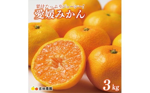 先行予約 愛媛みかん 3kg 9000円 愛媛 みかん 温州みかん こたつ みかん mikan 蜜柑 ミカン 家庭用 贈答用 ギフト プレゼント お歳暮 産地直送 国産 農家直送 糖度 期間限定 数量限定 特産品 ゼリー ジュース アイス 人気 限定 甘い フルーツ 果物 柑橘 先行 事前 予約 受付 ビタミン 美味しい おいしい 吉田農園 愛南町 愛媛県