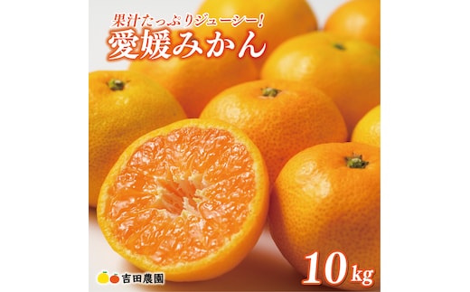 先行予約 愛媛みかん 10kg 24000円 愛媛 みかん 温州みかん こたつ みかん mikan 蜜柑 ミカン 家庭用 贈答用 ギフト プレゼント お歳暮 産地直送 国産 農家直送 糖度 期間限定 数量限定 特産品 ゼリー ジュース アイス 人気 限定 甘い フルーツ 果物 柑橘 先行 事前 予約 受付 ビタミン 美味しい おいしい 吉田農園 愛南町 愛媛県