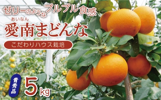 訳あり 愛南 まどんな 5kg 【 青秀品 】 みかん 20000円 愛果28号 紅まどんな と 同品種 あいか アイカ 高級 人気 ブランド 柑橘 果物 フルーツ ハウス栽培 施設栽培 ギフト プレゼント 数量限定 期間限定 産地直送 国産 農家直送 特産品 お取り寄せ mikan 蜜柑 ミカン マドンナ スマイルカット 甘い おいしい ゼリー ぷるぷる 果樹園みどり 愛南町 愛媛県