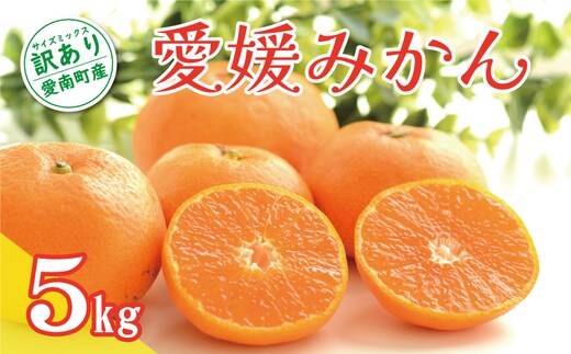 訳あり 愛媛みかん 5kg 7000円 温州みかん こたつ みかん 温州 みかん mikan 蜜柑 愛媛 ミカン 完熟 家庭用 産地直送 国産 農家直送 糖度 期間限定 数量限定 特産品 ゼリー ジュース アイス 人気 限定 甘い 果実 果肉 フルーツ 果物 柑橘 ビタミン 健康 美味しい おいしい ジューシー サイズ ミックス くらもとファーム 愛南町 愛媛県