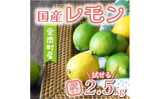 数量限定 先行予約 訳あり レモン 2.5kg 6000円 柑橘 檸檬 国産 れもん フルーツ 果物 果実 産地直送 農家直送 数量限定 期間限定 特産品 瀬戸内 ワックス 防腐剤 不使用 わけあり 人気 新鮮 少量 お試し レモネード 塩レモン レモン酢 レモンソース はちみつレモン レモンケーキ レモンスカッシュ レモンサワー レモン酎ハイ ビタミン 規格外 あいなんマザーズ 愛南町 愛媛県