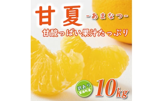先行予約 訳あり 甘夏 10kg 7000円 樹齢25年 以上 みかん mikan 蜜柑 わけあり あまなつ 夏みかん グレープフルーツ だいだい 家庭用 事前 予約 受付 産地直送 国産 農家直送 糖度 期間限定 数量限定 特産品 ゼリー マーマレード ピール ジュース デザート 人気 限定 おいしい 果実 果肉 フルーツ 果物 柑橘 美味しい サイズ ミックス 減農薬 くらもとファーム 愛南町 愛媛県