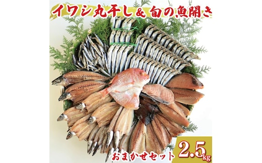 訳あり 魚の 丸干し ＆ 開き おまかせ セット 2.5kg 10000円 魚 海鮮 干物 無添加 ひもの ひらき 詰め合わせ 冷凍 丸干し 鯵 アジ 鯖 さば サバ 鰹 かつお カツオ 鯛 たい タイ 鰯 いわし イワシ 切り身 おつまみ おかず 惣菜 人気 珍味 グルメ 規格外 国産 新鮮 魚介 天然 乾き物 乾物 酒のあて 旬 季節 お中元 お歳暮 母の日 父の日 武久海産 愛南町 愛媛県