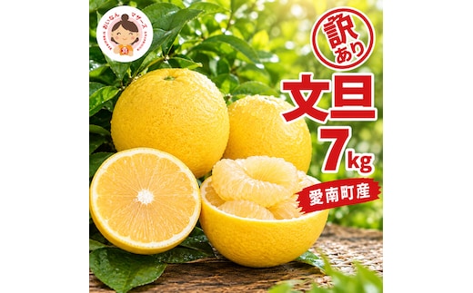 先行予約 訳あり 文旦 7kg （Mサイズ以上 サイズミックス） 7000円 ぶんたん みかん mikan 蜜柑 ミカン 家庭用 産地直送 国産 農家直送 減農薬 糖度 期間限定 数量限定 特産品 ゼリー ジュース アイス 人気 限定 甘い 果実 果肉 フルーツ 果物 柑橘 先行 事前 予約 受付 ビタミン 健康 美味しい おいしい ジューシー サイズ ミックス あいなんマザーズ 愛南町 愛媛県