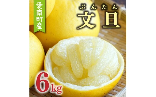 数量限定 先行予約 文旦 6kg 10000円 ぶんたん みかん mikan 蜜柑 ミカン 産地直送 国産 農家直送 期間限定 特産品 ゼリー ジュース アイス 等に 人気 限定 甘い 果実 果肉 フルーツ 果物 柑橘 おいしい 美味しい ジューシー サイズ ミックス あいなんマザーズ 愛南町 愛媛県