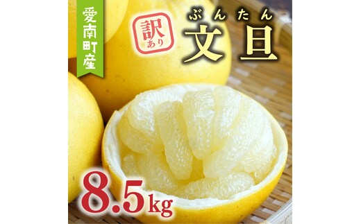 数量限定 先行予約 訳あり 文旦 8.5kg 10000円 わけあり ぶんたん みかん mikan 蜜柑 ミカン 産地直送 国産 農家直送 期間限定 特産品 ゼリー ジュース アイス 等に 人気 限定 甘い 果実 果肉 フルーツ 果物 柑橘 おいしい 美味しい ジューシー サイズ ミックス あいなんマザーズ 愛南町 愛媛県