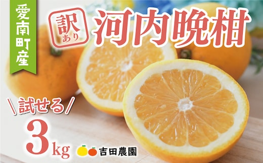 数量限定 先行予約 訳あり 河内晩柑 3kg 5000円 お試し用 みかん わけあり かわちばんかん 愛南ゴールド あいなん ゴールド 夏 文旦 グレープフルーツ 和製 家庭用 少量 お試し 産地直送 国産 農家直送 期間限定 数量限定 ビタミン 健康 おいしい 特産品 ゼリー ジュース 人気 限定 さわやか 甘い フルーツ 果物 柑橘 mikan 蜜柑 ミカン 規格外 吉田農園 愛南町 愛媛県