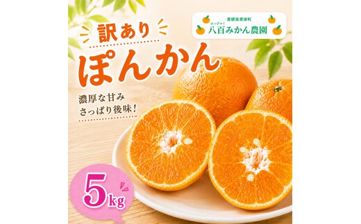 先行予約 訳あり ポンカン 5kg 7000円 ぽんかん みかん mikan 蜜柑 わけあり ミカン 家庭用 産地直送 国産 農家直送 防腐剤不使用 糖度 期間限定 数量限定 特産品 ゼリー ジュース アイス 人気 限定 甘い 果実 果肉 フルーツ 果物 柑橘 先行 事前 予約 受付 美味しい おいしい ジューシー さわやか サイズ ミックス 八百みかん農園 愛南町 愛媛県