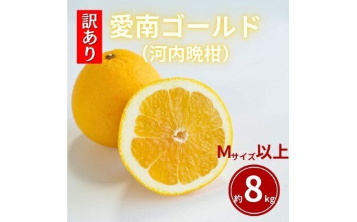 訳あり 愛南ゴールド 約8kg Mサイズ以上 河内晩柑 柑橘 フルーツ 果物 蜜柑 みかん くだもの 家庭用 傷 不揃い サイズミックス かわち ばんかん 和製 グレープフルーツ デザート甘い ジューシー 特産品 国産 農園 直送 愛媛県 愛南町 和家農園