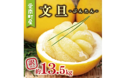 訳あり 文旦 13.5kg 13000円 ぶんたん みかん mikan 蜜柑 ミカン わけあり 家庭用 産地直送 国産 農家直送 糖度 期間限定 数量限定 特産品 ゼリー ジュース アイス 人気 限定 甘い 果実 果肉 フルーツ 果物 柑橘 ビタミン 健康 美味しい おいしい ジューシー 小玉 含む サイズ ミックス 規格外 傷み補償 500g ミッチーのおみかん畑 愛南町 愛媛県