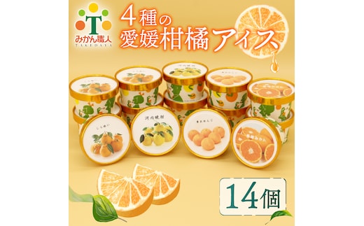 柑橘 カップ アイス 14個 (4種) 【 夢オレンジ 河内晩柑 愛媛みかん しらぬい 】 アイス ジェラート シャーベット ソルベ アイスクリーム ランキング 人気 贈答用 プレゼント みかん 柑橘 かんきつ まどんな 紅マドンナ 夢オレンジ 愛果28号 愛南ゴールド 不知火 デコポン 温州みかん 冷凍 みかん職人武田屋 愛媛県 愛南町