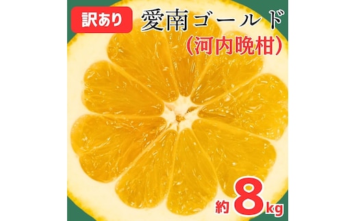 訳あり 愛南ゴールド ( 河内晩柑 ) 8kg 9000円 かわちばんかん ミカン わけあり 家庭用 あいなん ゴールド 蜜柑 和製 グレープフルーツ 産地直送 国産 農家直送 期間限定 数量限定 フルーツ 果物 柑橘 傷 不揃い 規格外 愛媛県 愛南町 愛なんよ 