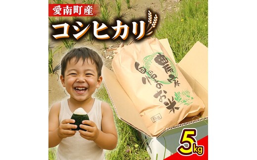 令和8年産 新米 コシヒカリ 5kg 米 お米 白米 精米 こしひかり 人気 産地直送 国産 農家直送 期間限定 数量限定 特産品 2026年産 大粒 もっちり 粘り 甘み おいしい おにぎり 贈答品 プレゼント 和家農園 愛南町 愛媛県