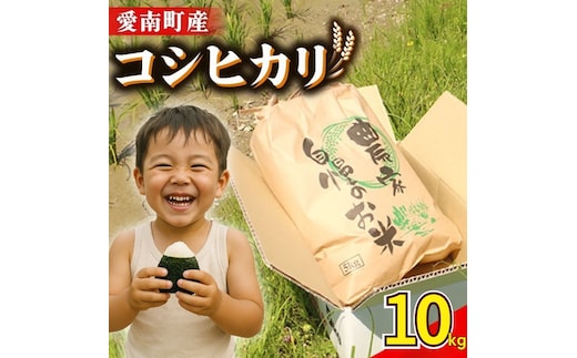 新米 令和8年産 コシヒカリ 10kg ( 10kg×1袋 ) 米 お米 白米 精米 こしひかり 人気 産地直送 国産 農家直送 期間限定 数量限定 特産品 2026年産 大粒 もっちり 粘り 甘み おいしい おにぎり 贈答品 プレゼント 和家農園 愛南町 愛媛県