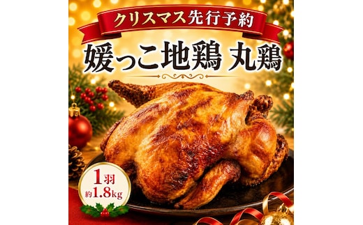 【 2026年 クリスマス 先行予約 】 媛っこ地鶏 丸鶏 約 1.8kg まるごと 地鶏 ブランド地鶏 鶏肉 鳥肉 肉 チキン むね肉 もも肉 クリスマス ローストチキン ごちそう スープ 出汁 焼肉 焼き鳥 BBQ パーティー ディナー メイン タンパク質 低脂肪 糖質 愛媛県 愛南町 ローカルスタンダード