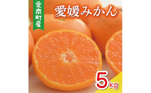 数量限定 愛媛みかん 5kg 10000円 温州みかん こたつ みかん mikan 蜜柑 ミカン 国産 期間限定 特産品 ギフト プレゼント お歳暮 産地直送 農家直送 人気 限定 甘い フルーツ 果物 柑橘 おいしい 小玉 含む おいしい 岡平農園 愛南町 愛媛県