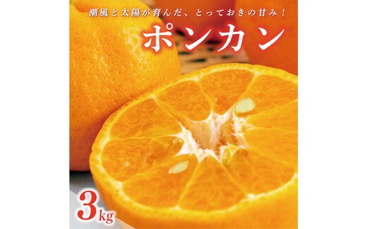 数量限定 先行受付 ポンカン 3kg 7000円 ぽんかん 国産 みかん mikan 蜜柑 ミカン 産地直送 農家直送 特産品 ギフト プレゼント ゼリー ジュース アイス 冷凍 みかん 等に 人気 限定 甘い フルーツ 果物 柑橘 美味しい おいしい 小玉 含む ジューシー サイズ ミックス 岡平農園 愛南町 愛媛県