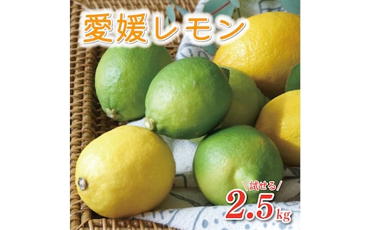 数量限定 先行予約 レモン 2.5kg 7000円 檸檬 国産 愛媛 れもん 期間限定 少量 お試し 特産品 フルーツ 果物 柑橘 人気 おいしい 産地直送 農家直送 ワックス 防腐剤 不使用 あいなんマザーズ 愛南町 愛媛県