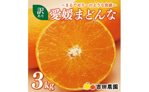 数量限定 先行予約 訳あり 愛媛 まどんな 3kg みかん 家庭用 サイズミックス 12000円 愛果28号 紅まどんな 同品種 あいか アイカ 高級 人気 ブランド 柑橘 果物 フルーツ 期間限定 産地直送 国産 農家直送 わけあり 特産品 お取り寄せ mikan 蜜柑 ミカン マドンナ スマイルカット 甘い おいしい ゼリー ぷるぷる 吉田農園 愛南町 愛媛県