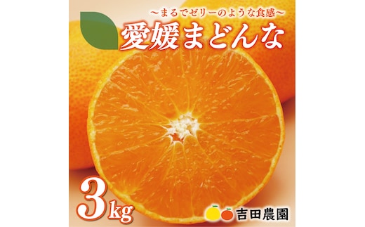 数量限定 先行予約 愛媛 まどんな 3kg みかん サイズミックス 18000円 愛果28号 紅まどんな 同品種 あいか アイカ 高級 人気 ブランド 柑橘 果物 フルーツ 期間限定 産地直送 国産 農家直送 特産品 お取り寄せ ギフト プレゼント お歳暮 mikan 蜜柑 ミカン マドンナ スマイルカット 甘い おいしい ゼリー ぷるぷる 吉田農園 愛南町 愛媛県