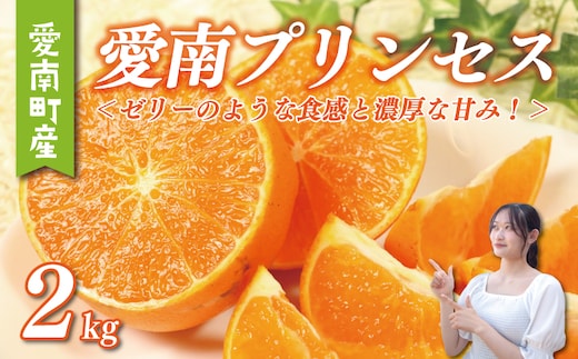 愛南 プリンセス 2kg サイズミックス 15000円 みかん 愛果48号 まどんな と 甘平 を交配 高級 人気 ブランド 柑橘 果物 フルーツ 紅プリンセス と 同一品種 数量限定 期間限定 産地直送 国産 農家直送 特産品 お取り寄せ ギフト プレゼント mikan 蜜柑 ミカン ぷりんせす 甘い おいしい ゼリー ぷるぷる 果樹園みどり 愛南町 愛媛県