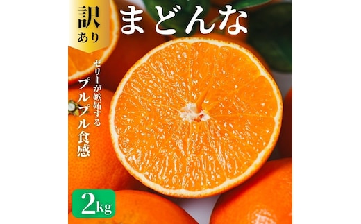 訳あり まどんな 2kg 訳あり まどんな 愛果28号 柑橘 かんきつ フルーツ 果物 旬 みかん ミカン 国産 ギフト 贈答用 お取り寄せ 通販 訳あり品 サイズ不揃い お徳用 家庭用 おやつ スイーツ ジューシー 甘い みずみずしい ゼリー 食感 さわやか 甘味 酸味 高品質 新鮮 期間限定 旬の味覚 贈り物 プレゼント 内祝い お祝い 薄皮 愛媛県 愛南町青果市場