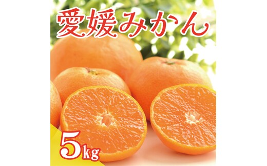 数量限定 先行予約 愛媛みかん 5kg 9000円 温州みかん こたつ みかん 温州 みかん mikan 蜜柑 愛媛 ミカン 完熟 産地直送 国産 農家直送 期間限定 特産品 ギフト プレゼント お歳暮 ゼリー ジュース アイス 等に 人気 限定 甘い 果実 果肉 フルーツ 果物 柑橘 事前 受付 健康 美味しい おいしい ジューシー サイズ ミックス 小玉 含む くらもとファーム 愛南町 愛媛県