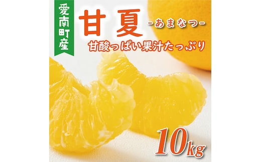 先行予約 甘夏 10kg 10000円 樹齢25年 以上 みかん mikan 蜜柑 あまなつ 夏みかん グレープフルーツ だいだい 家庭用 事前 予約 受付 産地直送 国産 農家直送 糖度 期間限定 数量限定 特産品 ゼリー マーマレード ピール ジュース 等に デザート 人気 限定 おいしい フルーツ 果物 柑橘 美味しい サイズ ミックス 減農薬 くらもとファーム 愛南町 愛媛県