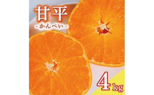 数量限定 先行予約 甘平 4kg 15000円 かんぺい 高級 人気 ブランド プレミアム 産地直送 農家直送 愛媛 みかん mikan 蜜柑 ミカン 国産 期間限定 特産品 フルーツ 果物 柑橘 甘い おいしい お取り寄せ ギフト プレゼント お礼 みかんの山祥 愛南町 愛媛県