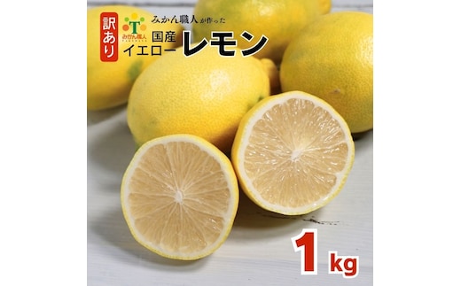 訳あり レモン（イエローレモン） 1kg りのか 減農薬 レモン イエローレモン 農家直送 こだわり らんきんぐ 柑橘 かんきつ 檸檬 果物 くだもの 果実 国産 フルーツ 有名 愛媛 ブランド 愛媛県産 瀬戸内 ビタミン 美味しい 生産者 直送 産直 無添加 レモンサワー ジュース チューハイ 愛媛県 愛南町 みかん職人武田屋 