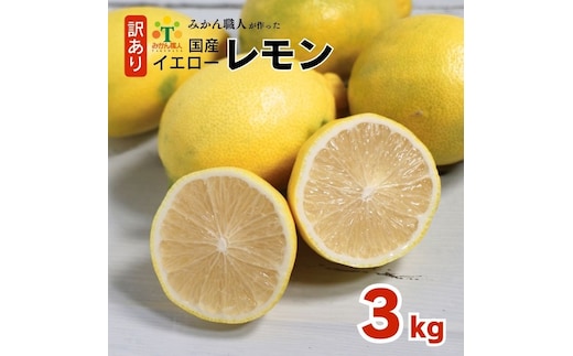 訳あり レモン（イエローレモン） 3kg りのか 減農薬 レモン イエローレモン 農家直送 こだわり らんきんぐ 柑橘 かんきつ 檸檬 果物 くだもの 果実 国産 フルーツ 有名 愛媛 ブランド 愛媛県産 瀬戸内 ビタミン 美味しい 生産者 直送 産直 無添加 レモンサワー ジュース チューハイ 愛媛県 愛南町 みかん職人武田屋 