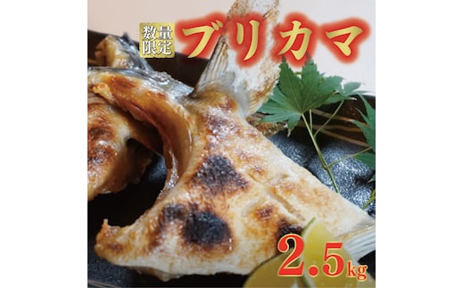 数量限定 ブリカマ 2.5kg 10000円 冷凍 サイズ 不揃い ぶりかま ぶりカマ 鰤かま 食べ物 旬 お手軽 魚海鮮 魚介 父の日 小分け 真空 パック 新鮮 鮮魚 養殖 国産 鰤 ぶり ブリ お取り寄せ ギフト プレゼント おつまみ アテ おかず カマ 塩焼き 煮物 あらだき あら煮 肉 厚 規格外 人気 ハマスイ 愛南町 愛媛県