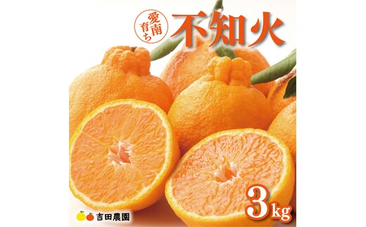 数量限定 先行予約 不知火 3kg 9000円 みかん しらぬい デコポン と 同品種 mikan 蜜柑 ミカン 産地直送 国産 農家直送 期間限定 特産品 ゼリー ジュース アイス 等に 人気 限定 甘い 果実 果肉 フルーツ 果物 柑橘 美味しい おいしい ジューシー 吉田農園 愛南町 愛媛県