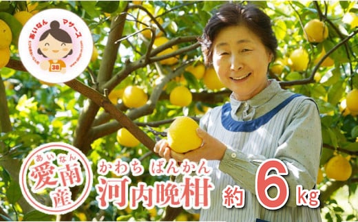 先行予約 河内晩柑 6kg 10000円 みかん かわちばんかん ミカン mikan 愛南ゴールド あいなん ゴールド 家庭用 少量 お試し 文旦 グレープフルーツ 和製 家庭用 産地直送 国産 農家直送 期間限定 数量限定 ビタミン 特産品 ゼリー ジュース 人気 限定 さわやか 甘い フルーツ 果物 柑橘 蜜柑 あいなんマザーズ 愛南町 愛媛県