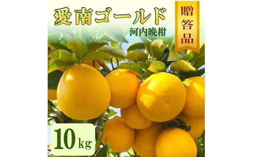 贈答用 愛南ゴールド（河内晩柑）約10kg みかん 蜜柑 河内晩柑 グレープフルーツ ギフト 贈答品 お祝い プレゼント 果実 ジュース ゼリー 正品 人気 果汁 さわやか 甘い 夏 デザート 柑橘 果物 フルーツ 前田ファーム 愛媛 愛南 【発送期間 3月下旬～5月上旬 】(なくなり次第終了)