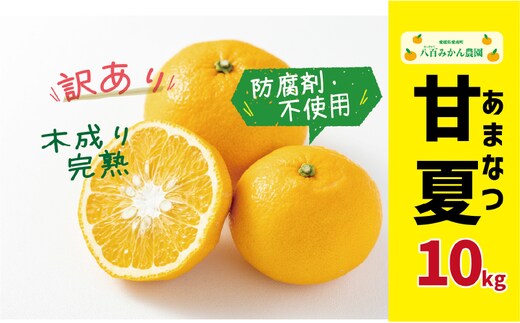 先行予約 訳あり 完熟甘夏 10kg 10000円 みかん mikan 蜜柑 わけあり あまなつ 夏みかん グレープフルーツ だいだい 家庭用 事前 予約 受付 産地直送 国産 農家直送 糖度 期間限定 数量限定 特産品 ゼリー マーマレード ピール ジュース デザート 人気 限定 おいしい 果実 果肉 フルーツ 果物 柑橘 美味しい サイズ ミックス 防腐剤不使用 八百みかん農園 愛南町 愛媛県