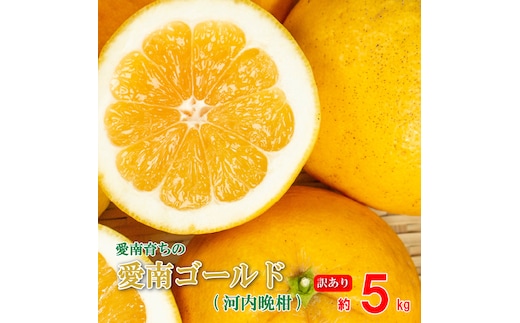 訳あり 愛南ゴールド ( 河内晩柑 ) 5kg みかん 蜜柑 河内晩柑 和製 グレープフルーツ 傷 不揃い 規格外 常温 愛媛県 愛南町青果市場 発送: 4月上旬～なくなり次第終了