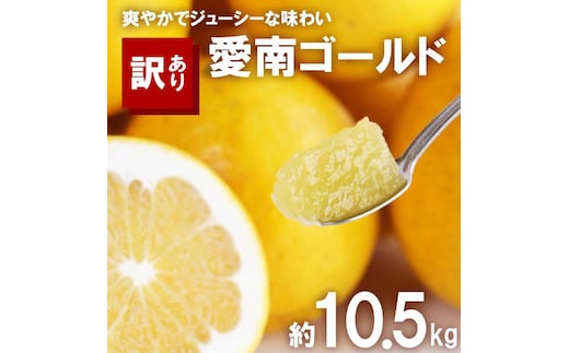 訳あり 河内晩柑 10.5kg サイズミックス 10000円 みかん かわちばんかん ミカン mikan わけあり 愛南ゴールド 家庭用 あいなん ゴールド 美生柑 文旦 派生 和製 グレープフルーツ 産地直送 国産 農家直送 期間限定 数量限定 特産品 人気 限定 甘い おいしい 小玉 含む フルーツ 果物 柑橘 蜜柑 アイス ジュース 等に 規格外 大樹農園 愛南町 愛媛県
